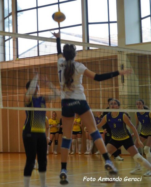 DSC04366y_tn.jpg