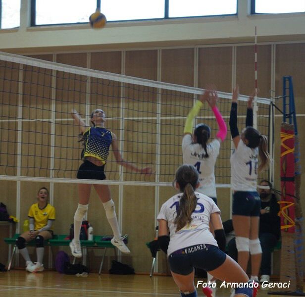 DSC04367y_tn.jpg