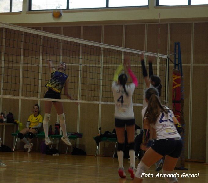 DSC04371y_tn.jpg