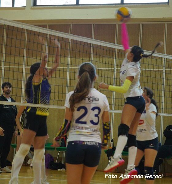 DSC04373y_tn.jpg
