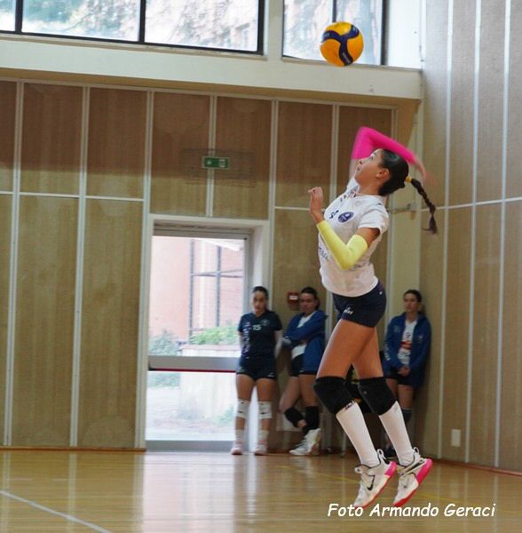 DSC04374y_tn.jpg