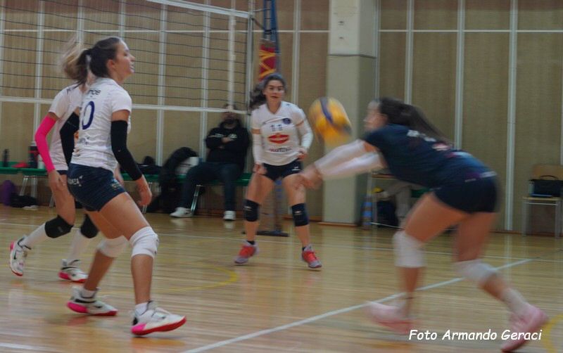 DSC04391y_tn.jpg