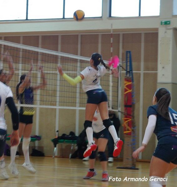 DSC04393y_tn.jpg