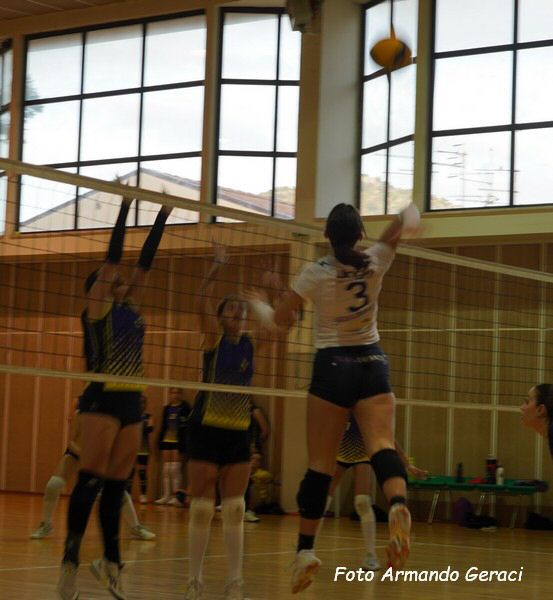 DSC04401y_tn.jpg