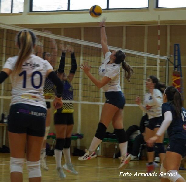 DSC04413y_tn.jpg