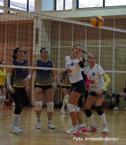 DSC04418y_tn.jpg
