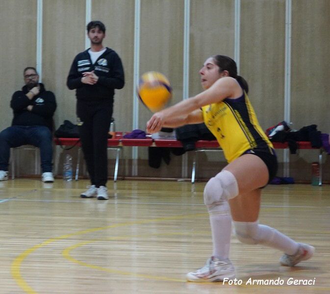 DSC04439y_tn.jpg