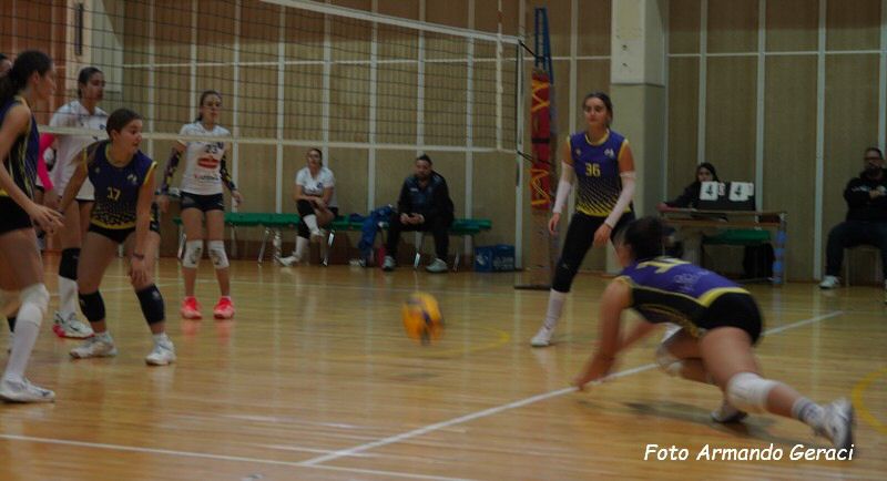 DSC04444y_tn.jpg