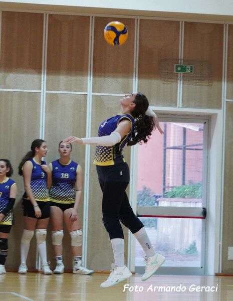 DSC04446y_tn.jpg