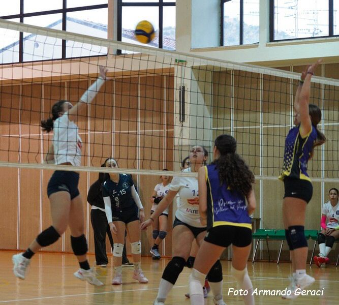 DSC04448y_tn.jpg