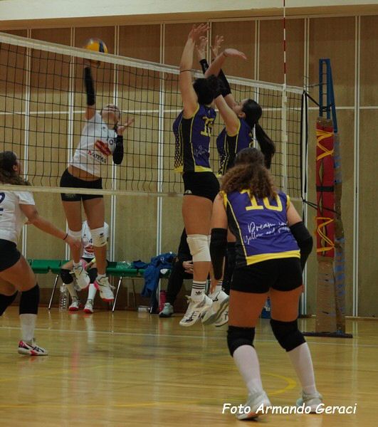 DSC04457y_tn.jpg