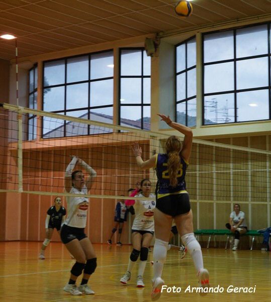 DSC04468y_tn.jpg