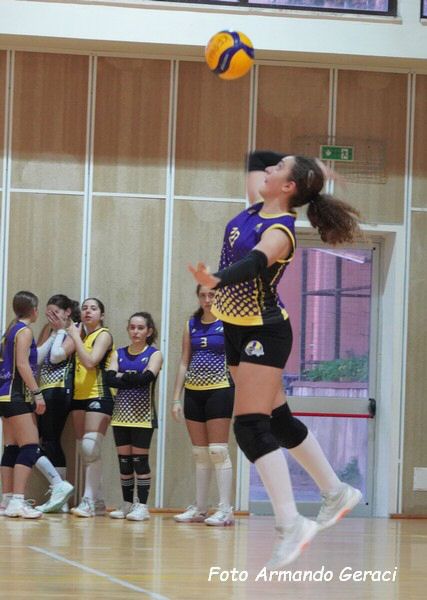 DSC04470y_tn.jpg
