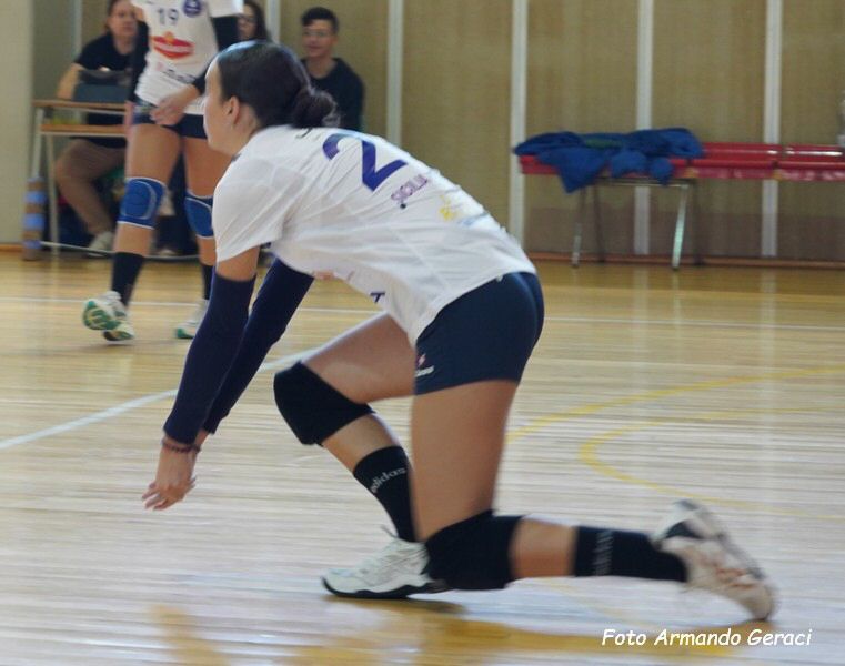 DSC04971y_tn.jpg