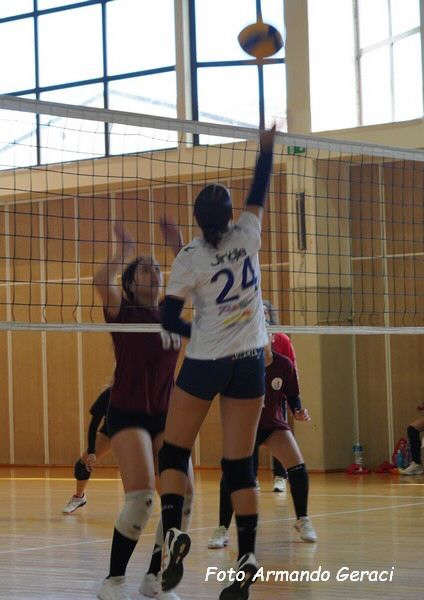 DSC04972y_tn.jpg