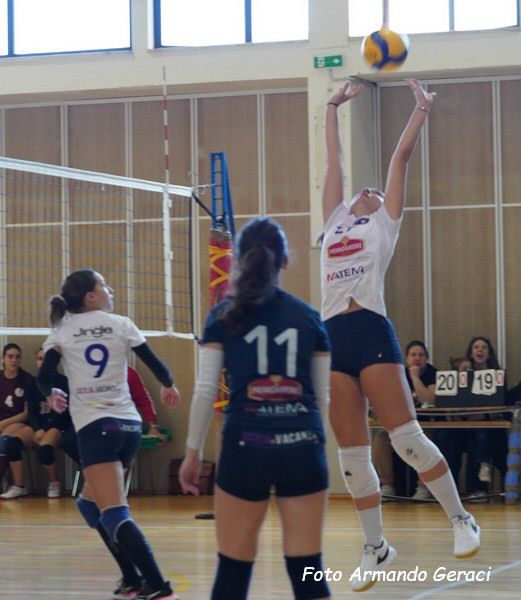 DSC05018y_tn.jpg