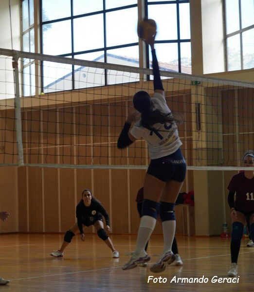 DSC05022y_tn.jpg