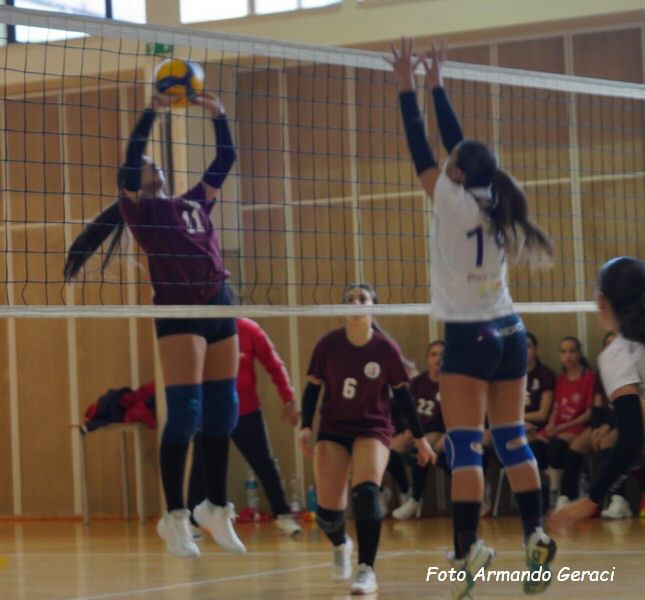 DSC05029y_tn.jpg