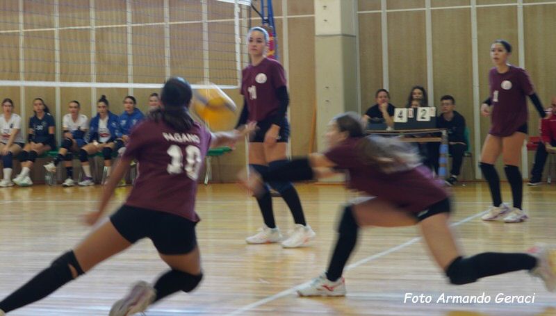 DSC05039y_tn.jpg
