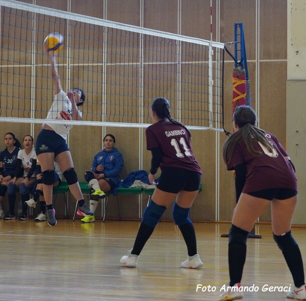 DSC05046y_tn.jpg
