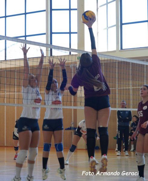 DSC05058y_tn.jpg