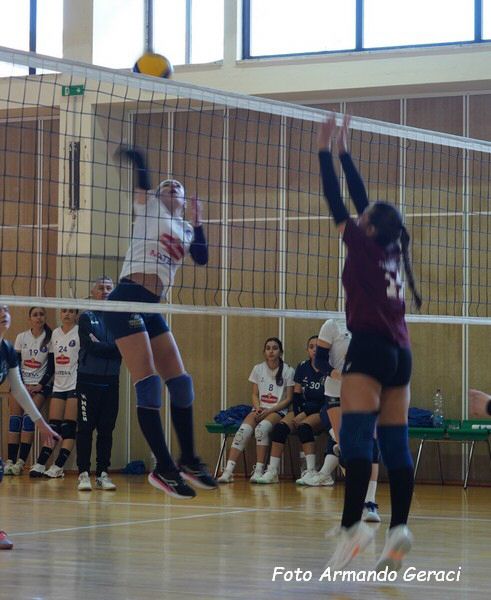DSC05120y_tn.jpg
