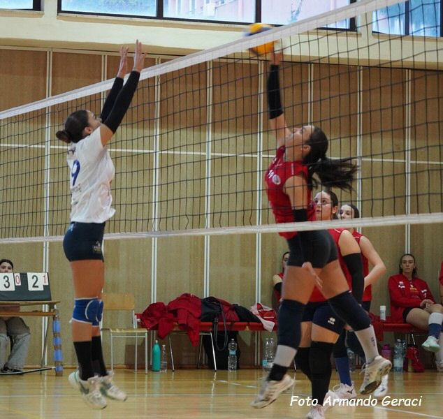 DSC05549y_tn.jpg