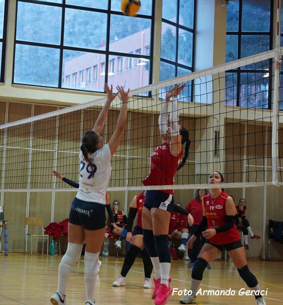 DSC05553y_tn.jpg