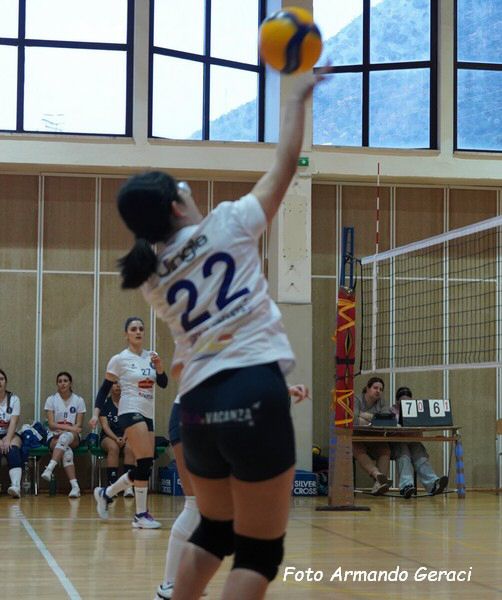 DSC05560y_tn.jpg