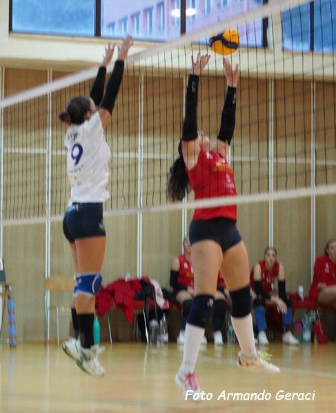 DSC05577y_tn.jpg