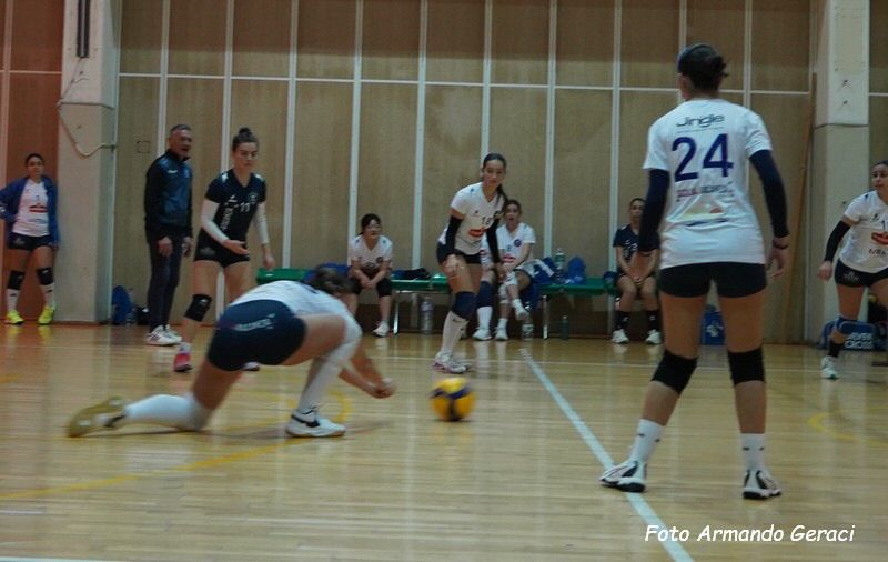 DSC05579y_tn.jpg