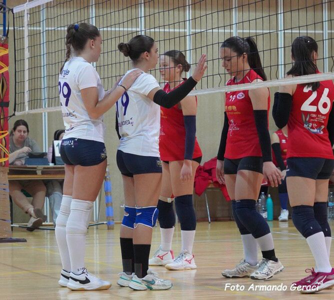 DSC05580y_tn.jpg