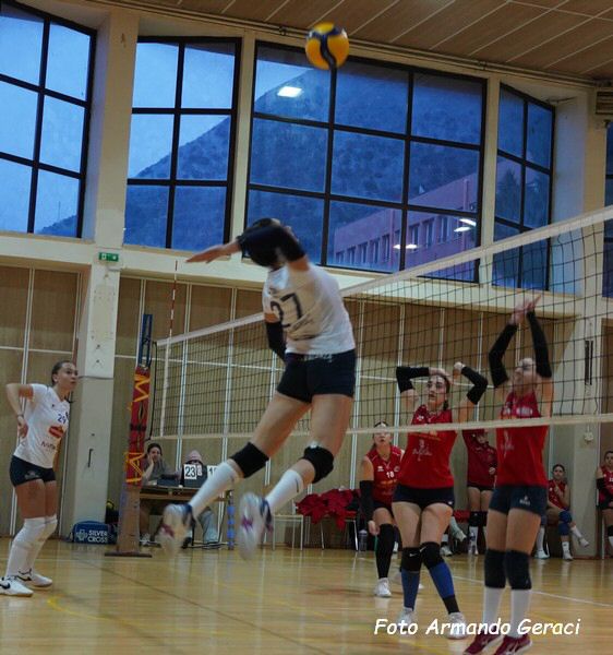 DSC05596y_tn.jpg