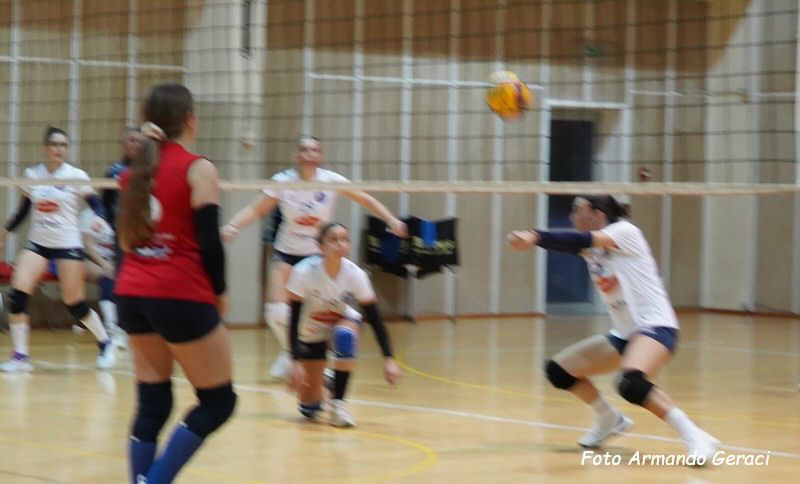 DSC05608y_tn.jpg