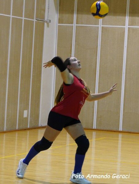 DSC05610y_tn.jpg
