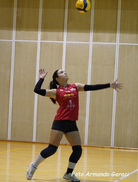 DSC05612y_tn.jpg