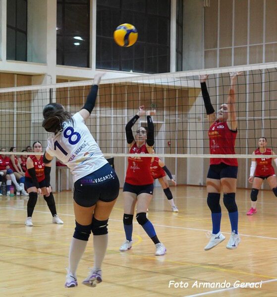 DSC05644y_tn.jpg