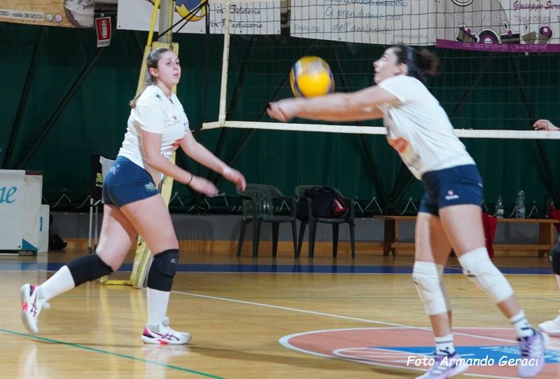DSC07078Y_tn.jpg