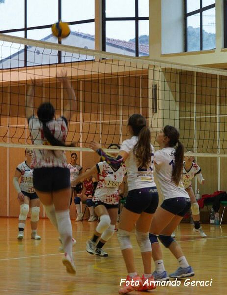 DSC07370y_tn.jpg