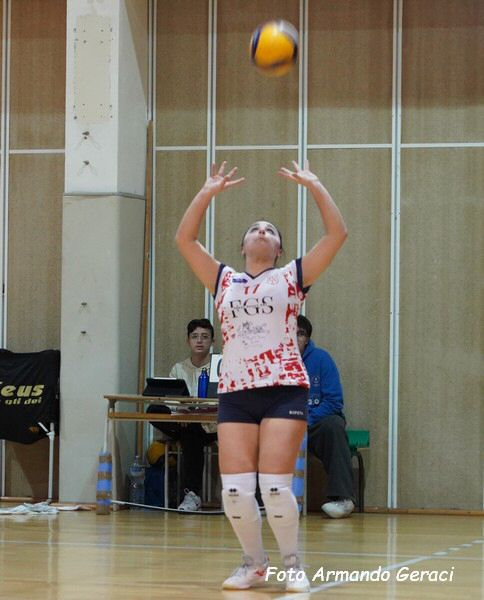 DSC07407y_tn.jpg