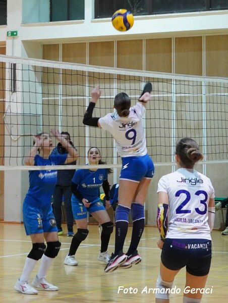DSC08923y_tn.jpg