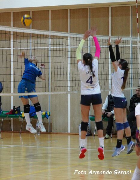 DSC08938y_tn.jpg