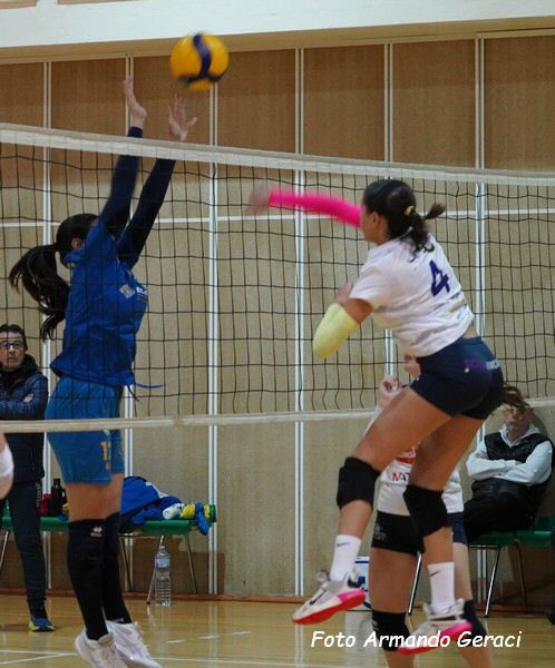 DSC08953y_tn.jpg