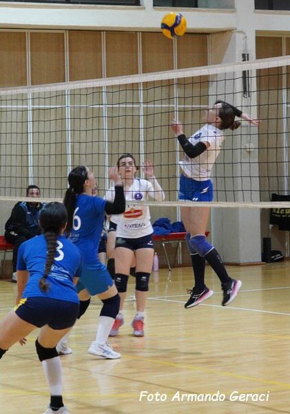 DSC08966y_tn.jpg