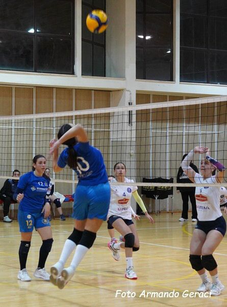 DSC08983y_tn.jpg