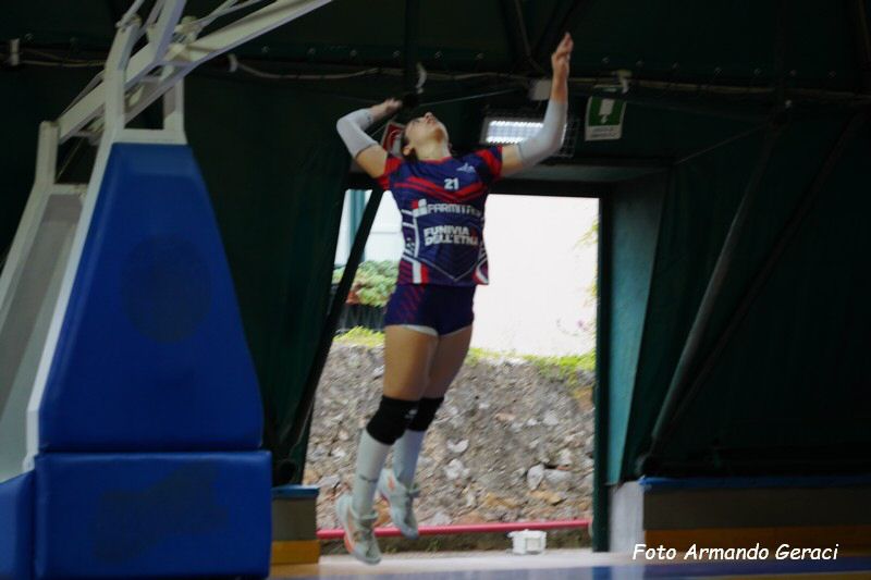 DSC03528_tn.jpg