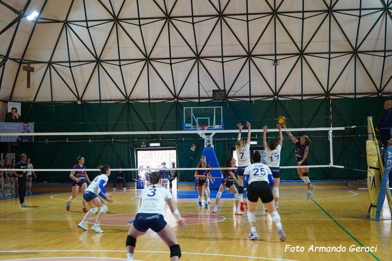 DSC03665_tn.jpg