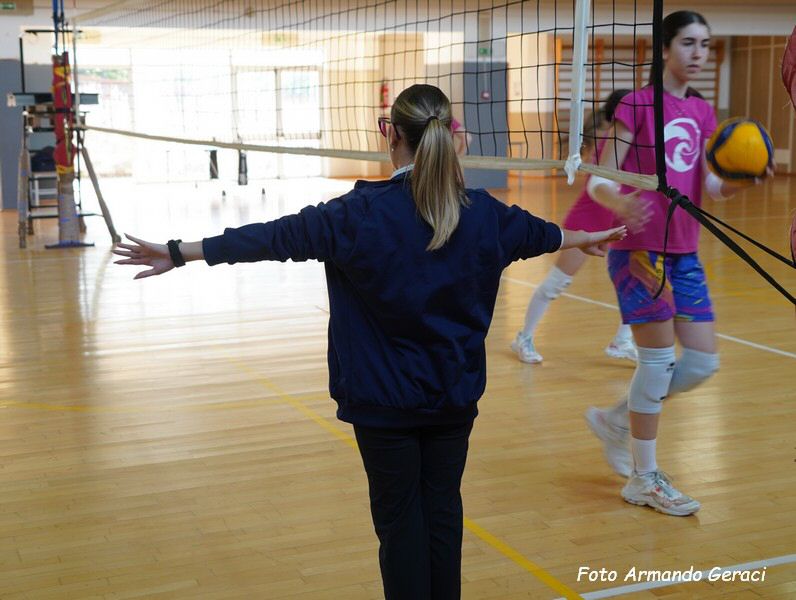 DSC03762y_tn.jpg