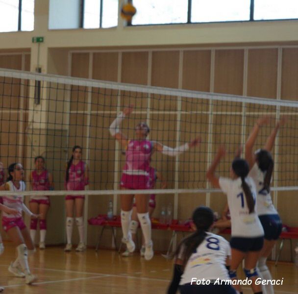 DSC03794y_tn.jpg