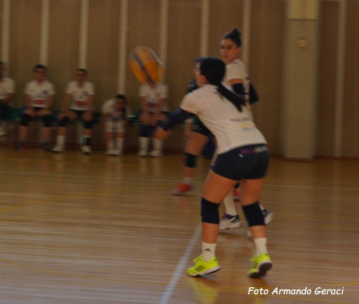 DSC03797y_tn.jpg
